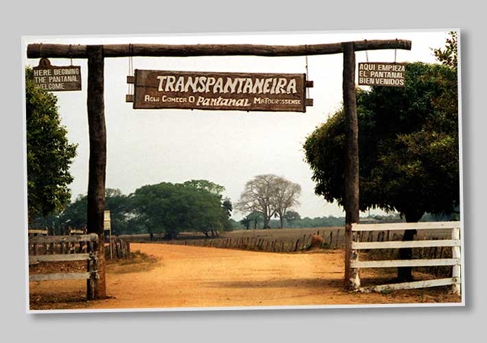 Transpantaneira